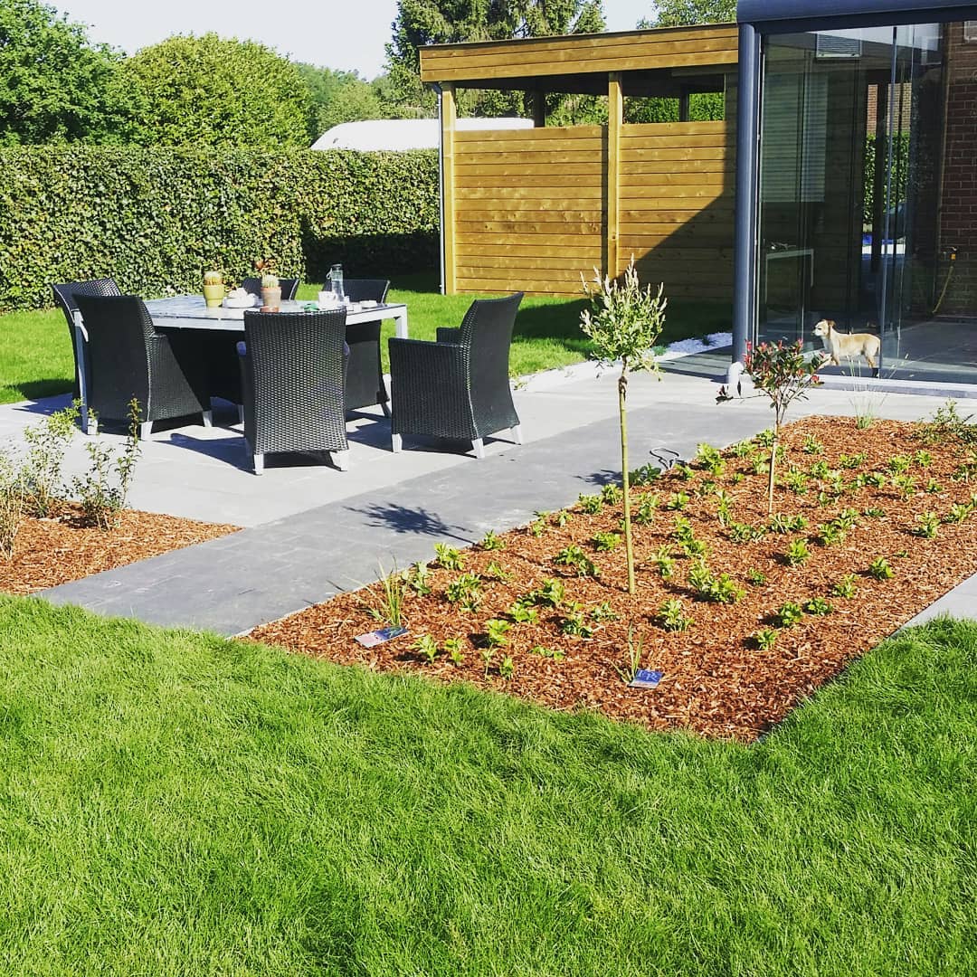 Project: Kolderbos